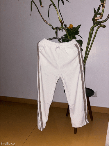 Track pant and shorts